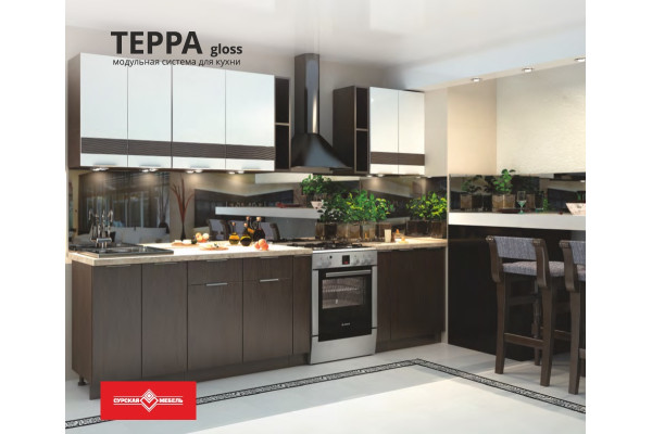 Кухонный гарнитур "Терра Gloss" 2300